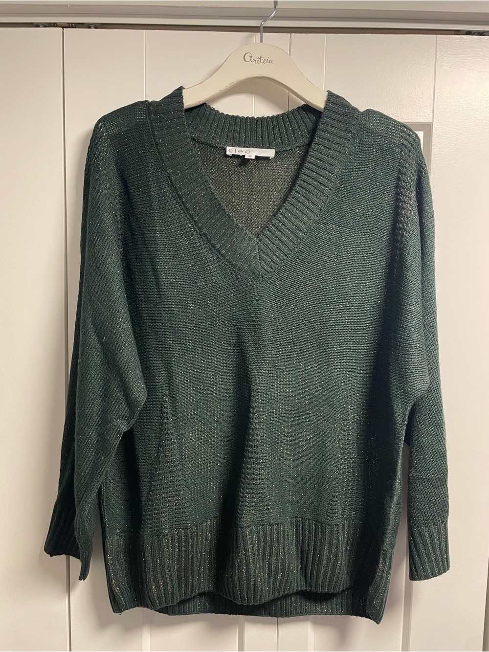 Cleo Metallic V-Neck Pullover Knit Sweater Dark Forest Green Sparkly XL